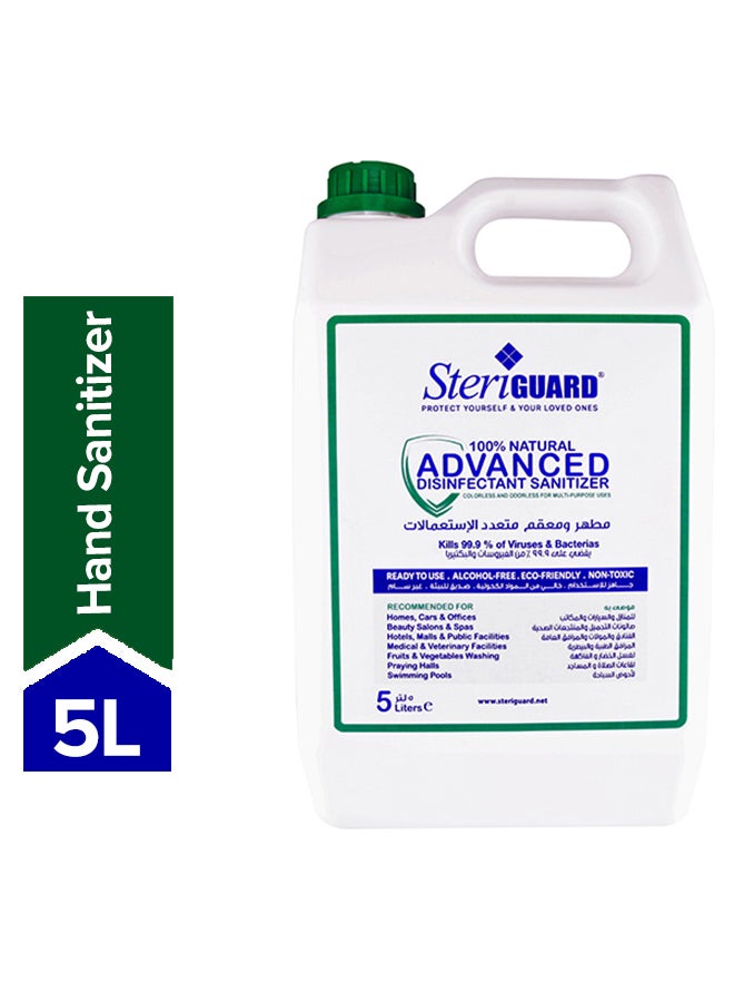 Steriguard 100% Natural Disinfectant Sanitizer 5Liters - Image 1