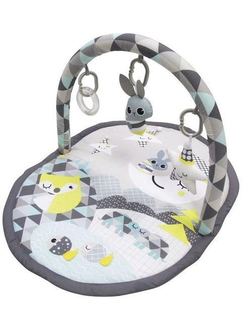 Good Night Mat With Single Arch 0m+, Baby playmat & Activity Gym