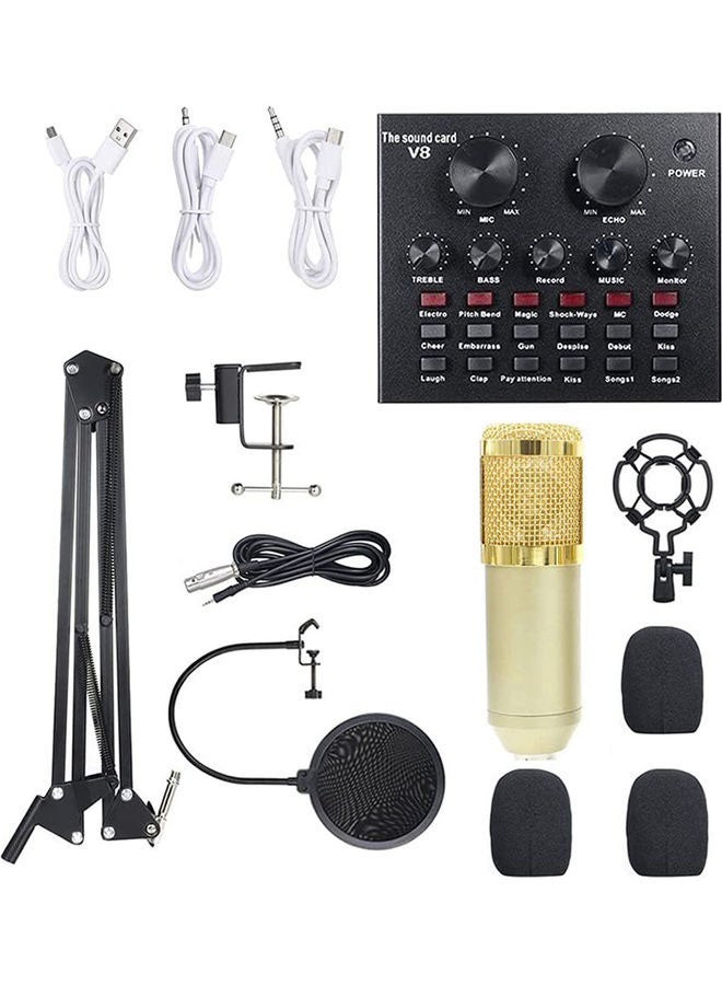 Arabest Professional Condenser Microphone Bundle with Live Sound Card, Studio Recording & Broadcasting Set Golden  - Image 1