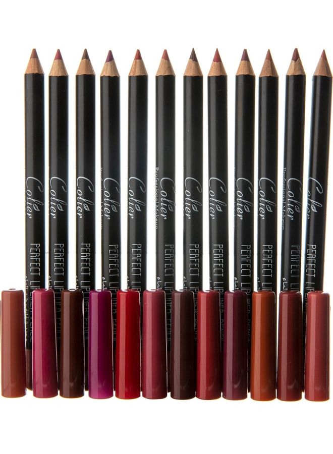 COLIER 12-Piece Waterproof Lipliner Pencil Set Multicolour  - Image 3
