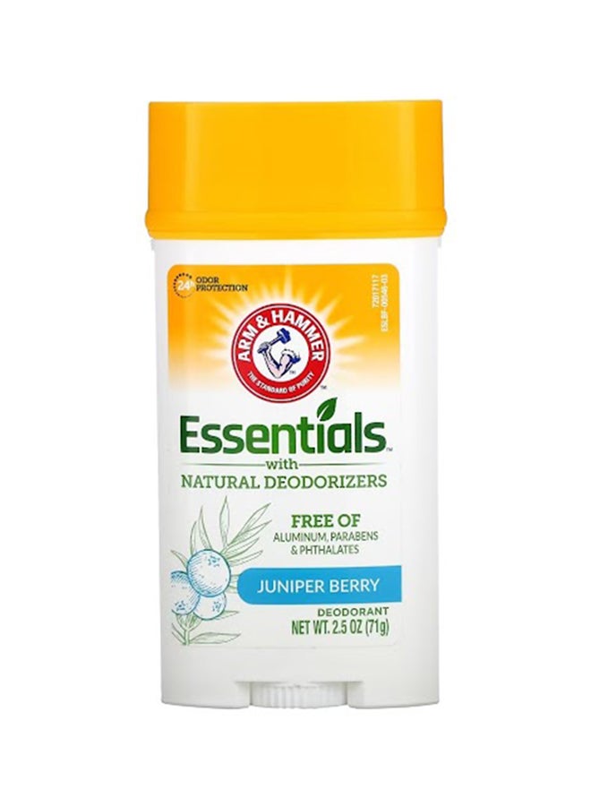 Arm & Hammer Clean Juniper Berry Natural Deodorizers 71grams - Image 1