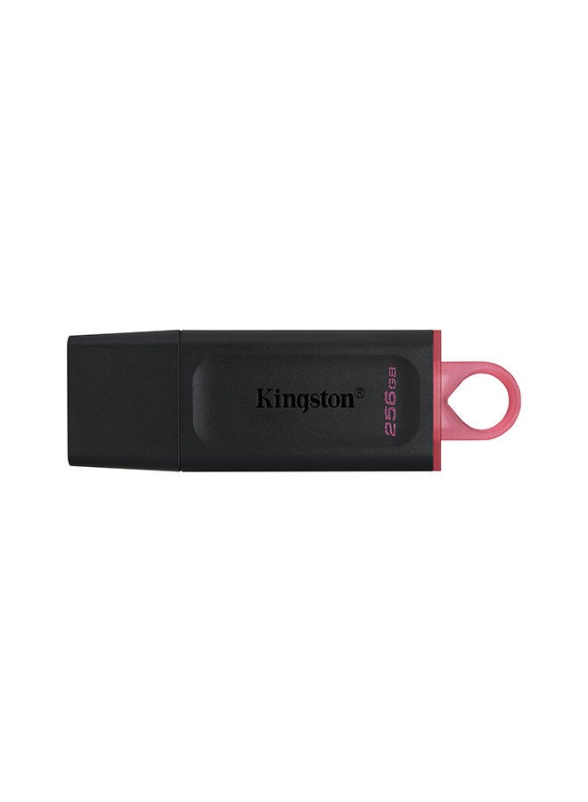 Kingston Kingston 265GB Exodia USB 3.20 Flash - DTX/265 - 256 GB - Image 1