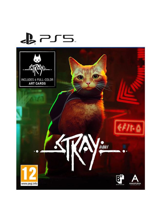 Annapurna Sales - Stray - Intl Version - PS5 - Image 1