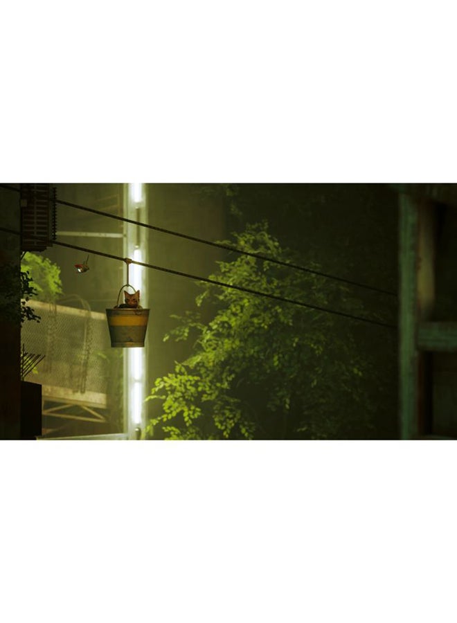Annapurna Sales - Stray - Intl Version - PS5 - Image 1