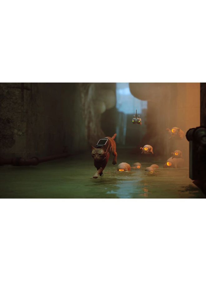 Annapurna Sales - Stray - Intl Version - PS5 - Image 1