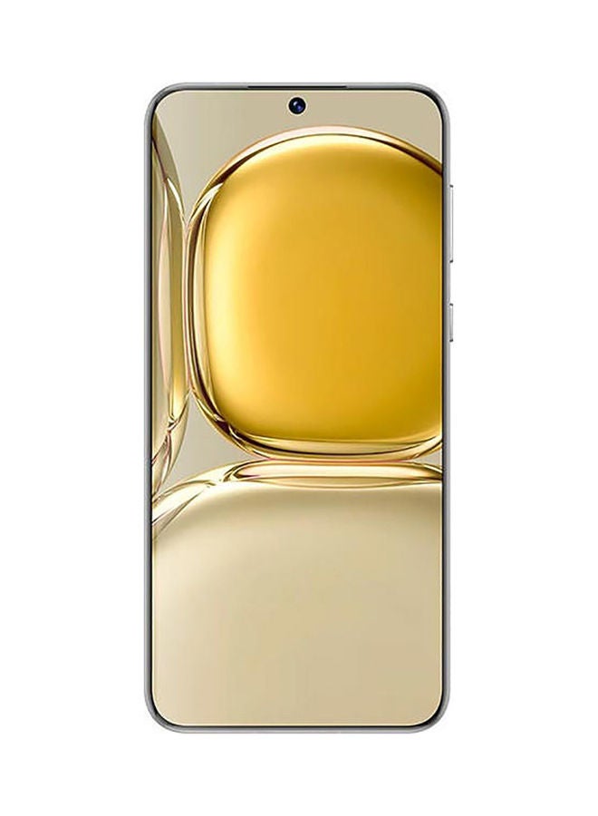 HUAWEI - P50 Dual SIM Golden Black 8GB RAM 256GB 4G - Middle East Version - Image 1