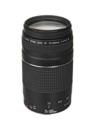 عدسة تقريب تليفوتو بحامل عدسة EF وبعد بؤري 75-300 مم وفتحة عدسة f/4-5.6 من المجموعة III أسود - v1663755631/N18824459A_1