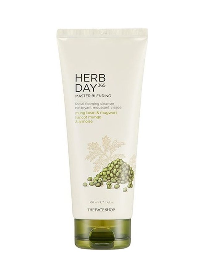 THEFACESHOP - Herb Day 365 Master Blending Facial Foaming Cleanser White 170ml - Image 1