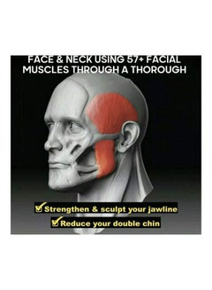 Generic Jaw Exercise Ball 3x2.5x2.5cm 3x2.5x2.5cm  - Image 4