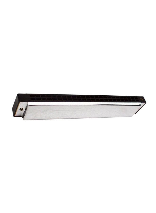 Mike Music - Swan 24 Holes Key of C Rock Jazz Folk Harmonica - Image 1