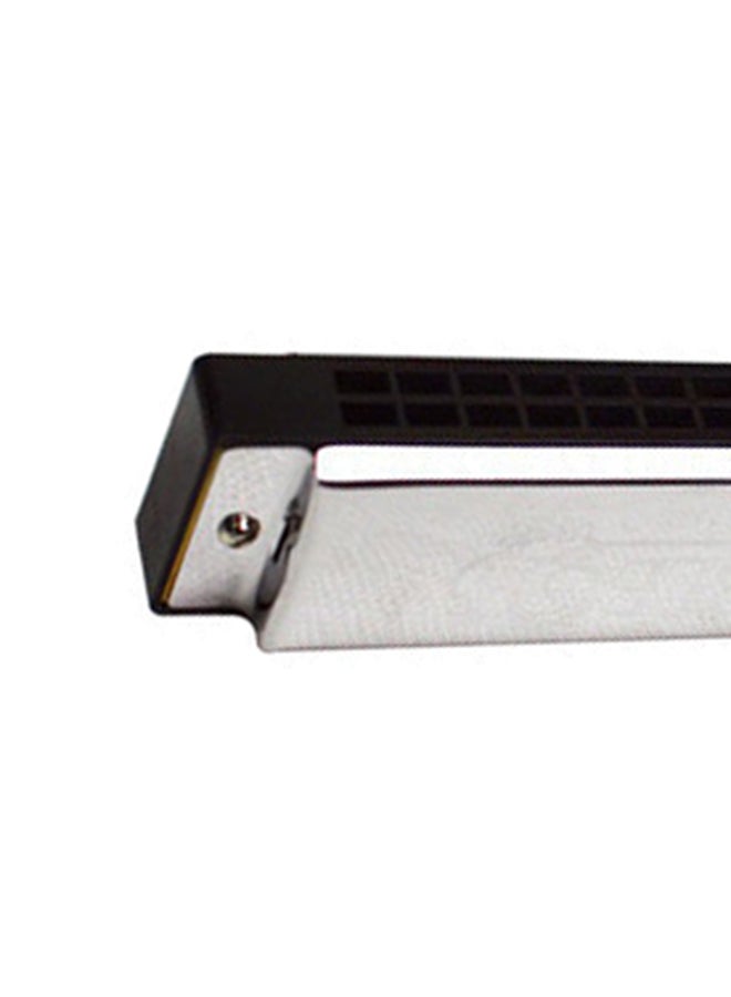 Mike Music - Swan 24 Holes Key of C Rock Jazz Folk Harmonica - Image 1