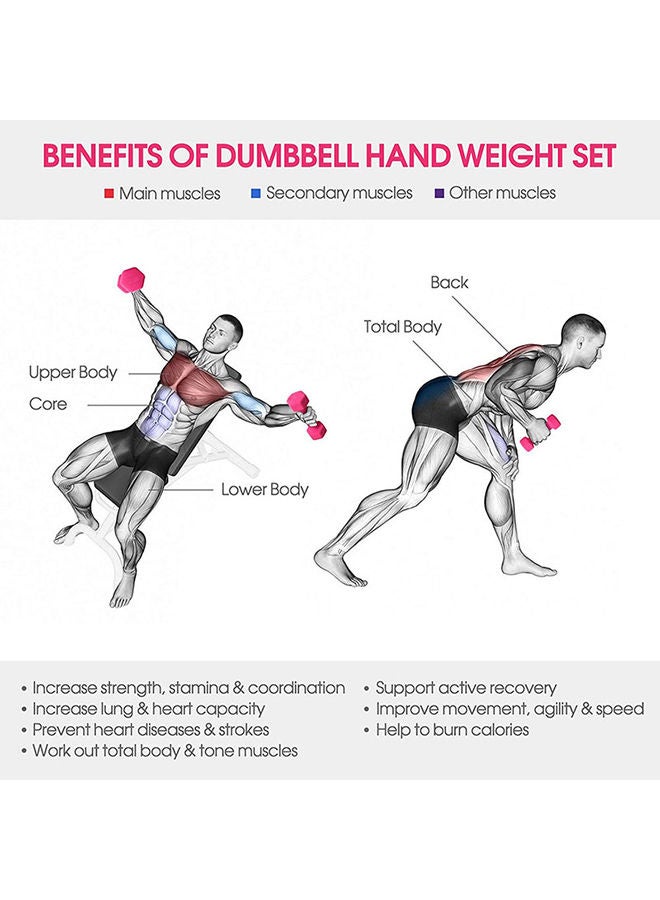 Weight Range Dumbbells 6 kg 45X10X5cm 45X10X5cm - v1664458772/N12519861A_5