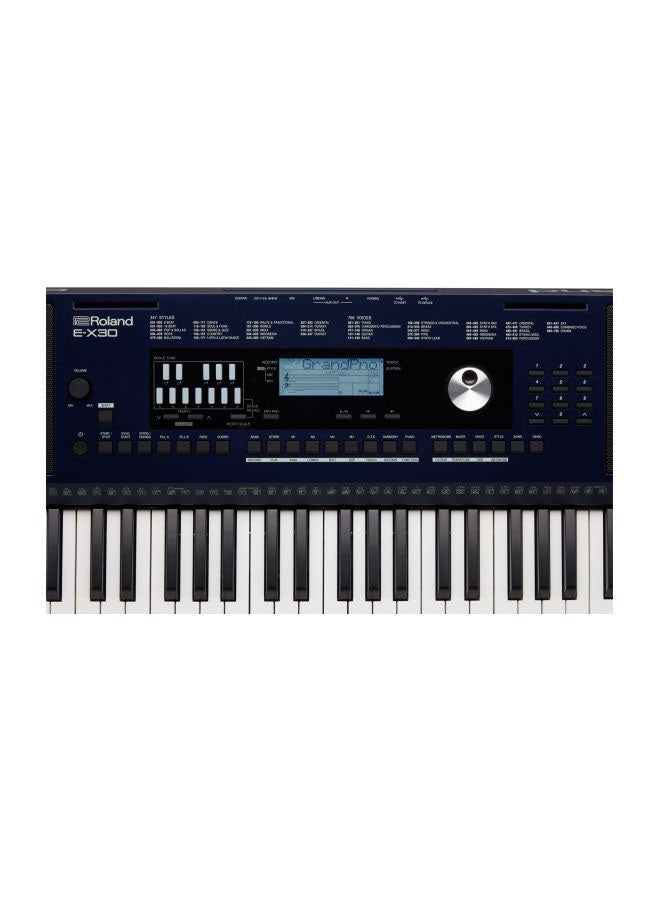 Roland - E-X30 Oriental Keyboard Vinyl - Image 1