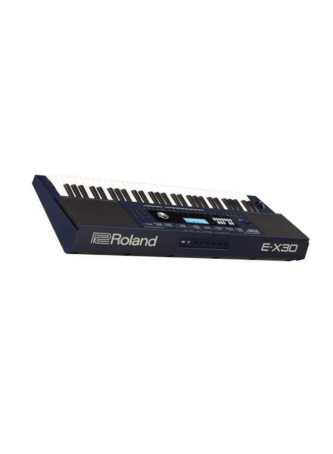 Roland - E-X30 Oriental Keyboard Vinyl - Image 1