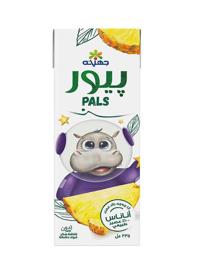 جهينه عصير بيور أناناس 235ملليلتر - Image 2