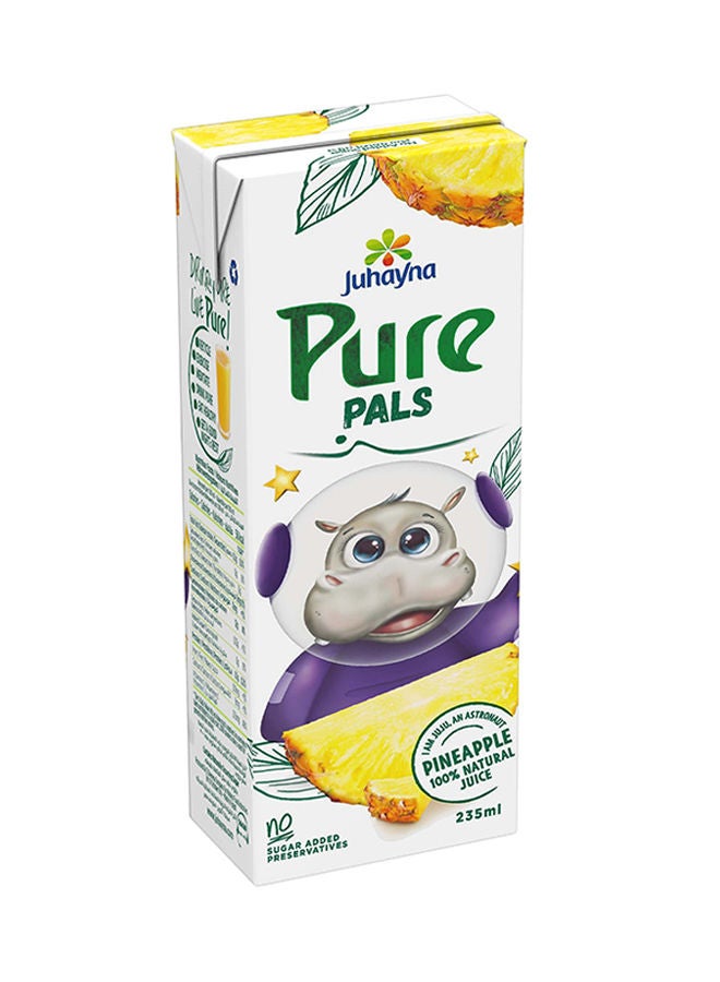 جهينه عصير بيور أناناس 235ملليلتر - Image 3