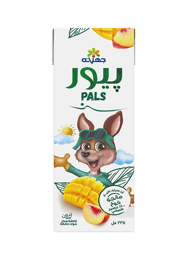 جهينه عصير بيور بالمانجو والخوخ 235ملليلتر - Image 2