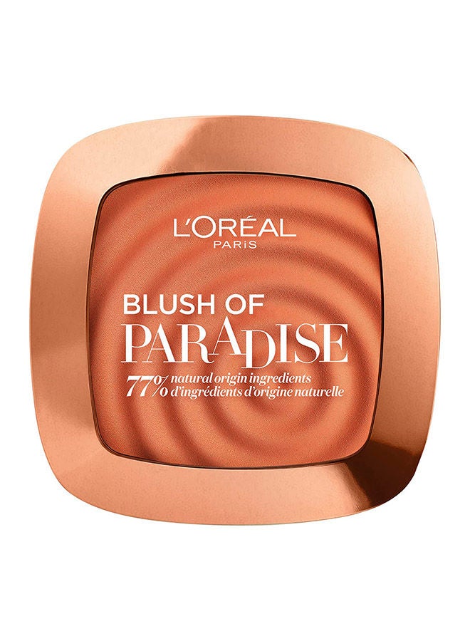 L'OREAL PARIS - Life'S A Peach Blush Addict Peach Addict - Image 1