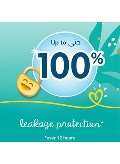 بامبرز حفاضات بيبي دراي بكريم مرطب بمستخلص نبات الصبار وبحمايةٍ من التسرب، مقاس 6+ لوزن 14 كجم، تتألف من 40 حفاضة  - Image 4