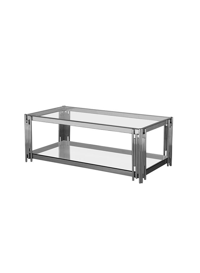 DANUBE HOME Naill Coffee Table 2-Tier Multifunctional Center Table Rectangular Modern Furniture For Living Room Stainless Steel Stainless Steel 120x60x42cm - Image 5