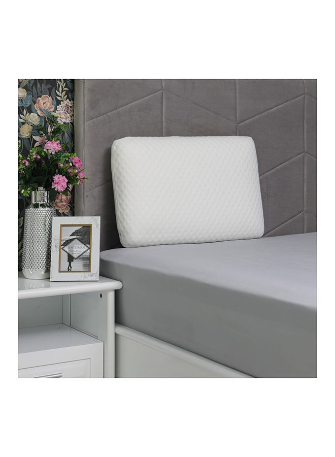DANUBE HOME Traditional Pillow polyester White 60x40x13cm  - Image 1