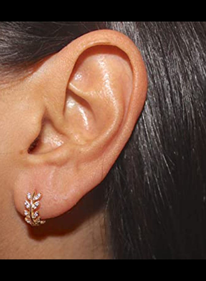 Generic - Willow Leaf Gold Leaf Earrings - Image 1