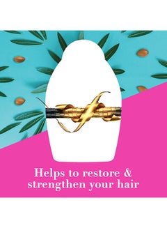 Ogx Renewing + Argan Oil Of Morocco Shampoo 385ml  - Image 4