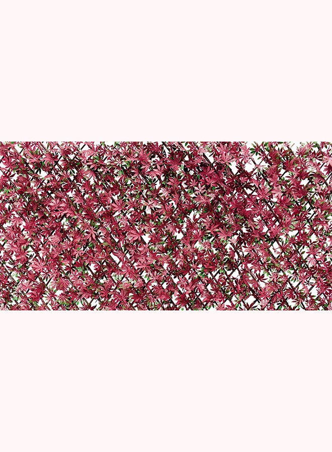 milano Single TV Socket Gold Standard - Image 2