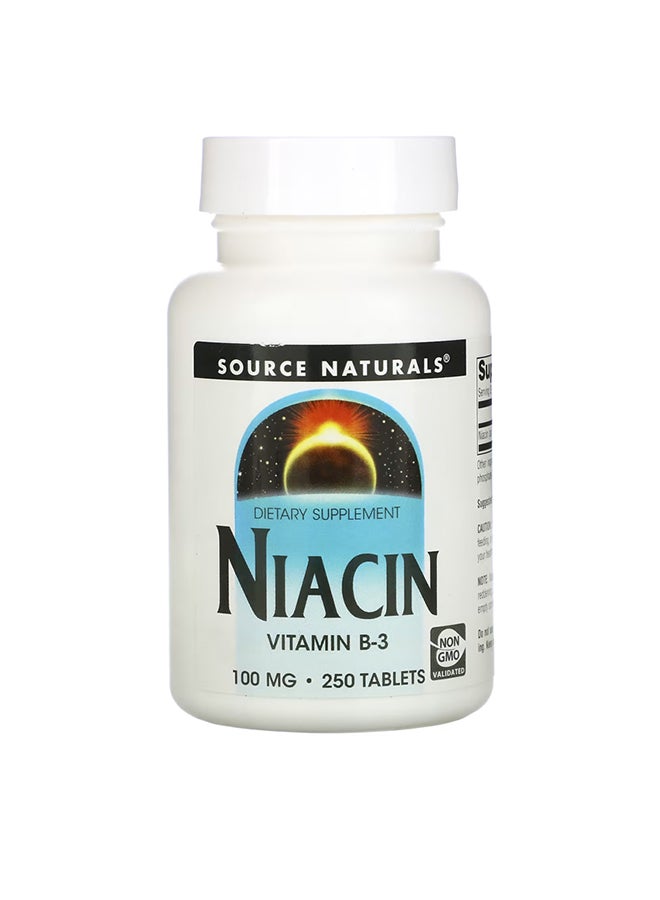 Source Naturals Niacin Dietary Supplement 100mg - 250 Tablets - Image 1