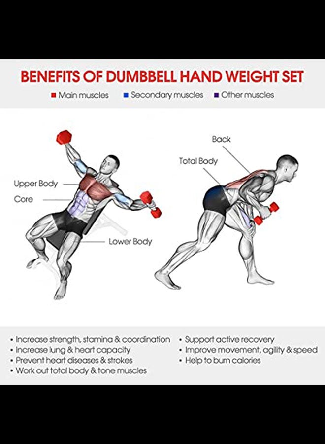 Generic Fitness Dumbbell 5kg  - Image 3