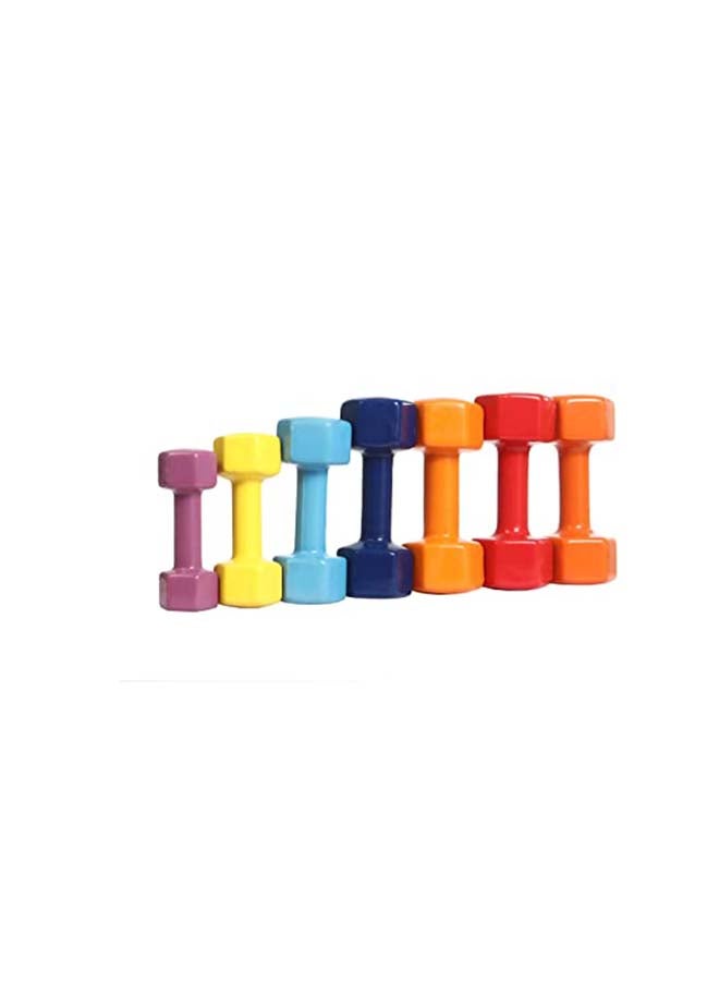 2-Piece Dumbbell Set 1kg 2kg 2kg