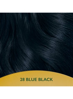 Soft Color Natural Instincts Hair Color 2/8 Blue Black - v1666703295/N34328947A_6