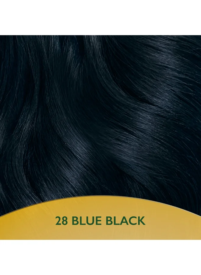 WELLA Soft Color Natural Instincts Hair Color 2/8 Blue Black