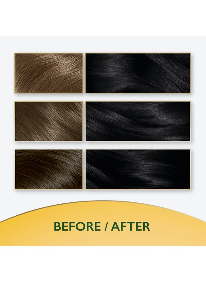 WELLA Soft Color Natural Instincts Hair Color 2/0 Black