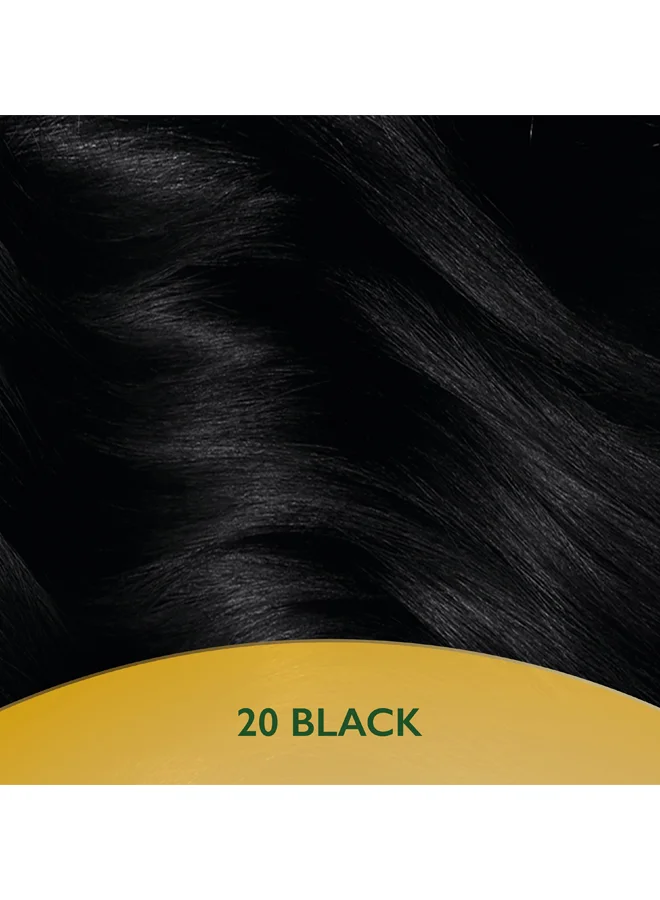 WELLA Soft Color Natural Instincts Hair Color 2/0 Black