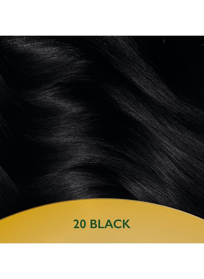Soft Color Natural Instincts Hair Color 2/0 Black