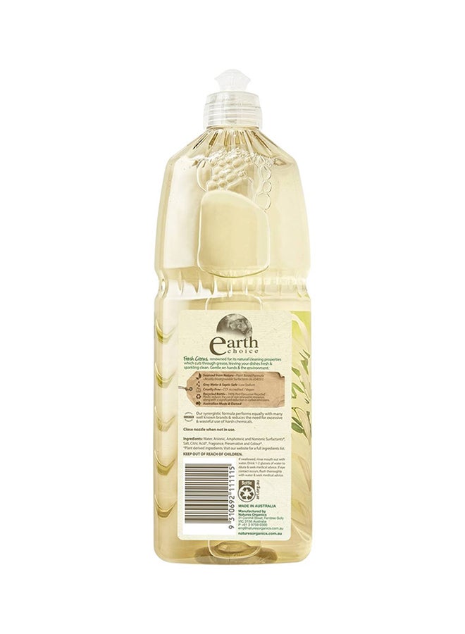 Earth Choice Dishwash Liquid Plant Based 1Liters - Image 2
