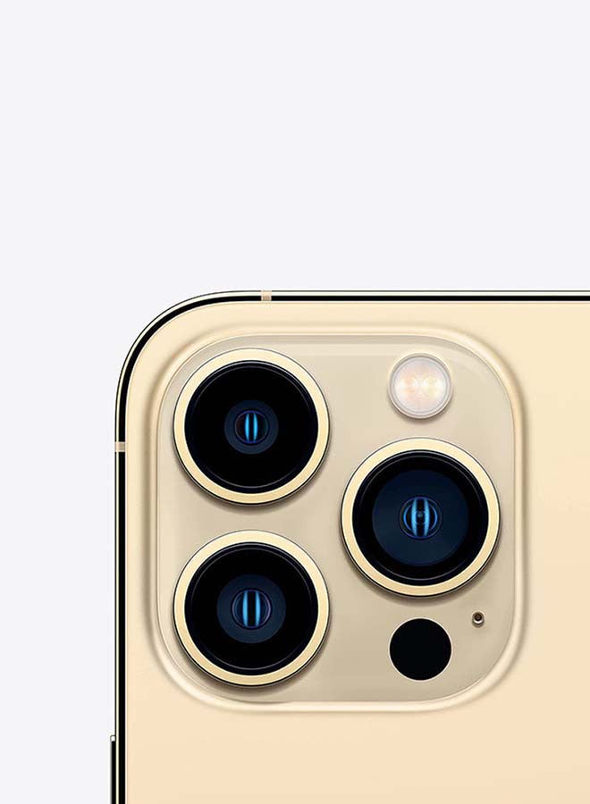 iPhone 13 Pro Max With FaceTime 256GB Gold 5G - USA Version