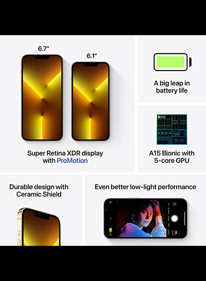 iPhone 13 Pro Max With FaceTime 256GB Gold 5G - USA Version