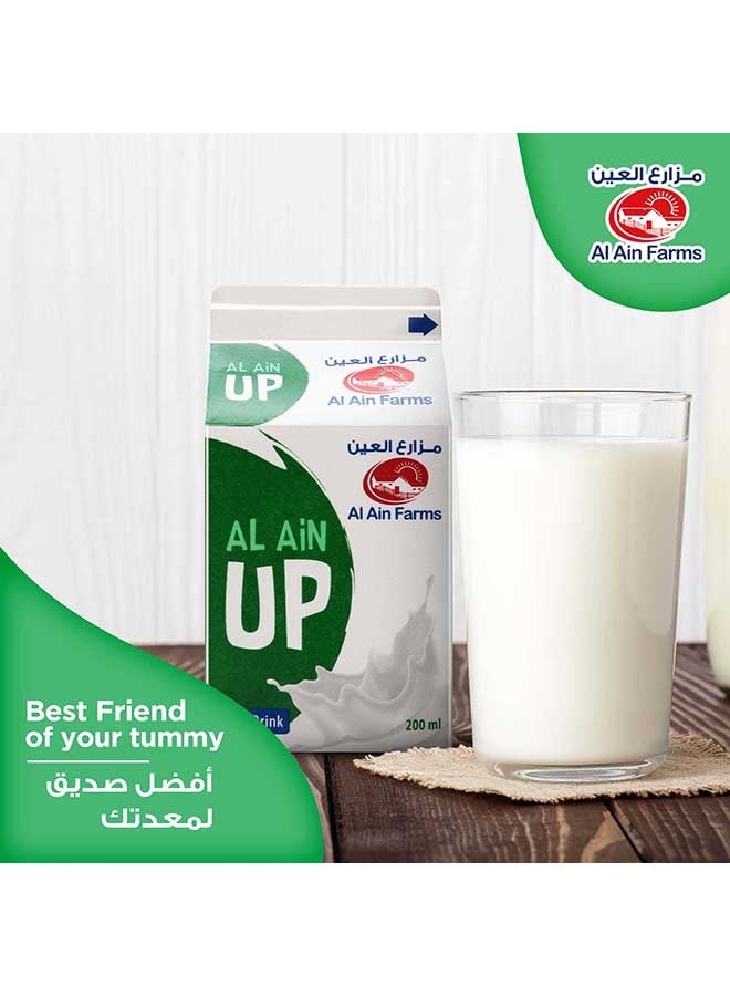 Fresh Laban Up Plain 200ml Pack of 6