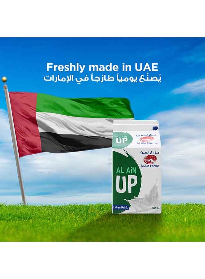 Fresh Laban Up Plain 200ml Pack of 6