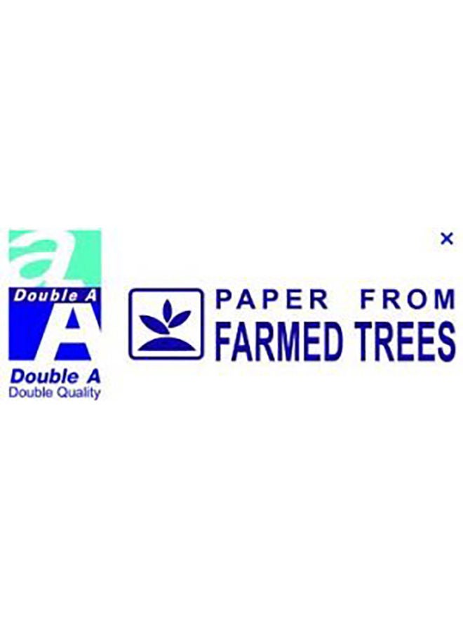 Double A - Printing Paper,A4 Size,80 gsm,500 Sheets A4 - Image 1