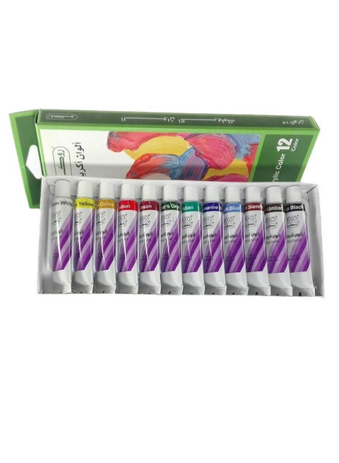 12-Piece Acrylic Color Set Multicolour
