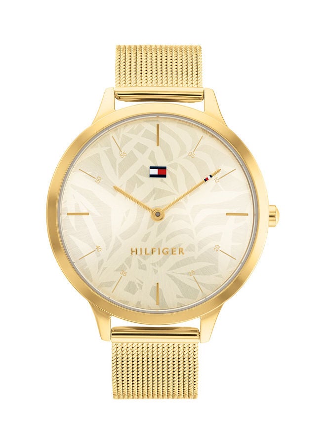 TOMMY HILFIGER Women's Stainless Steel Analog Wrist Watch 1782494 - Image 2
