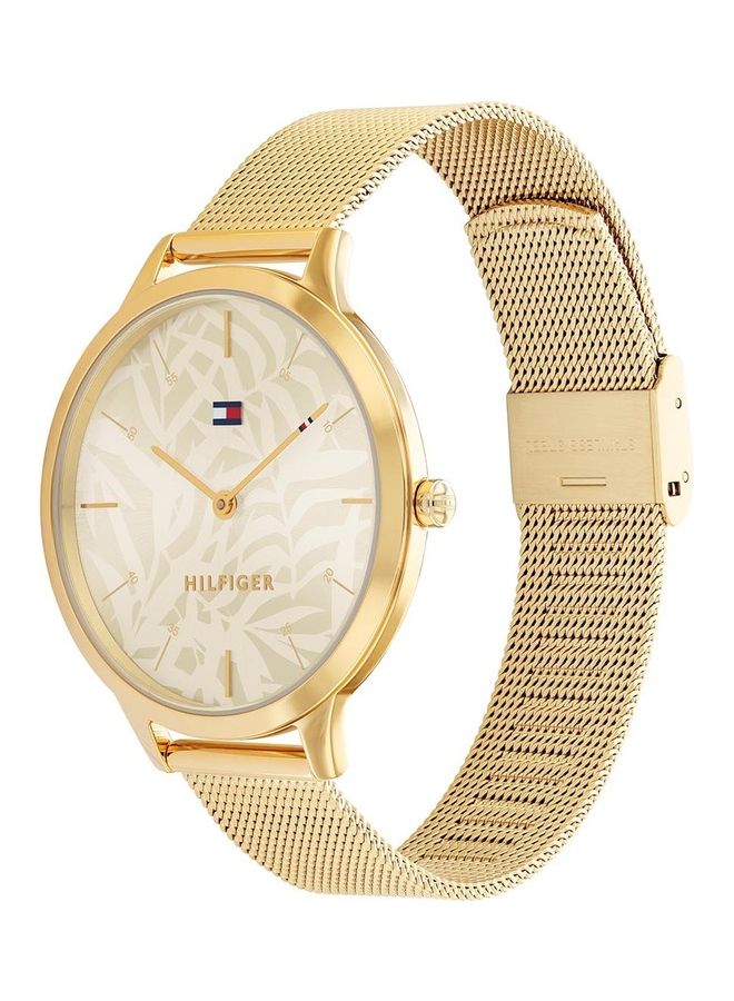 TOMMY HILFIGER Women's Stainless Steel Analog Wrist Watch 1782494 - Image 1