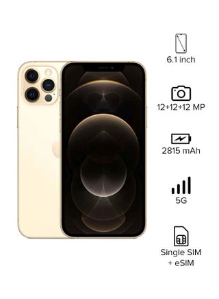آيفون 12 برو مع فيس تايم، سعة 256 جيجابايت، ذهبي، 5G - إصدار عالمي - v1667913918/N41233393A_1