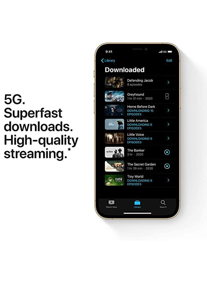 آيفون 12 برو مع فيس تايم، سعة 256 جيجابايت، ذهبي، 5G - إصدار عالمي