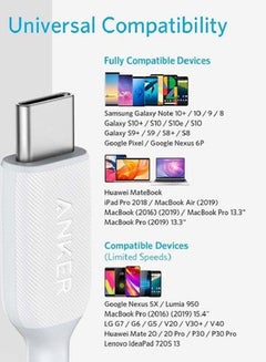 آنكر كابل باور لاين 3 بمنفذ USB-C إلى منفذ USB-C أبيض  - Image 4