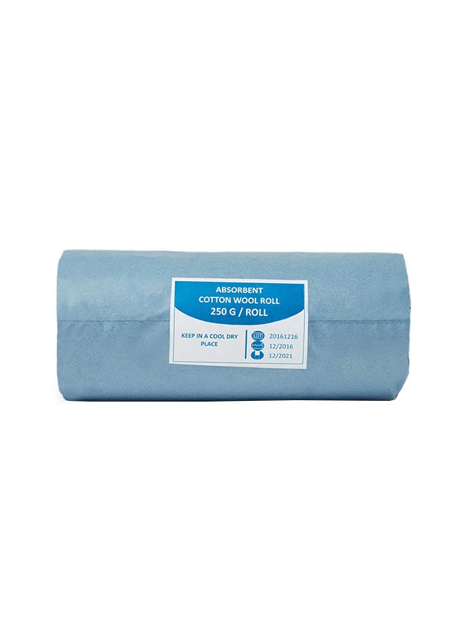 3W Healthcare Cotton Wool Roll - 250G - Size 29 X 9 X 29Cm