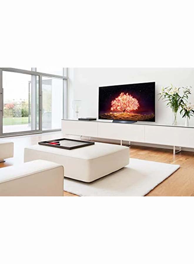 65-Inch B1 Series OLED TV OLED65B1PVA-AMAG Black
